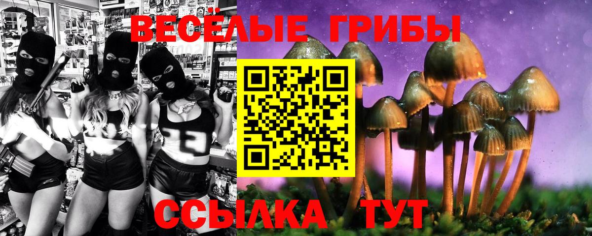 Псилоцибиновые грибы мухоморы  Вход с VPN  Кимры 
